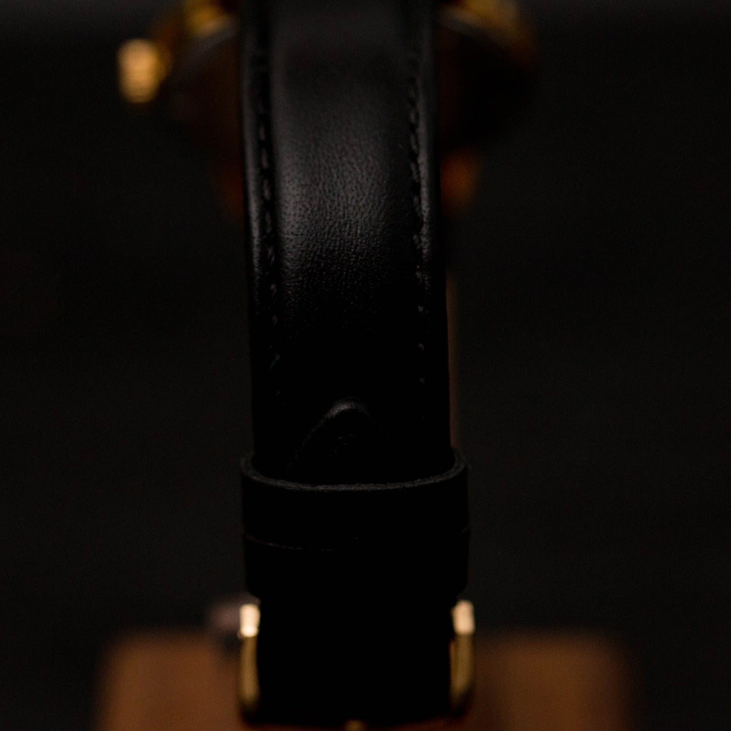 Swiss Watch Corporation SWISS WATCH CORP