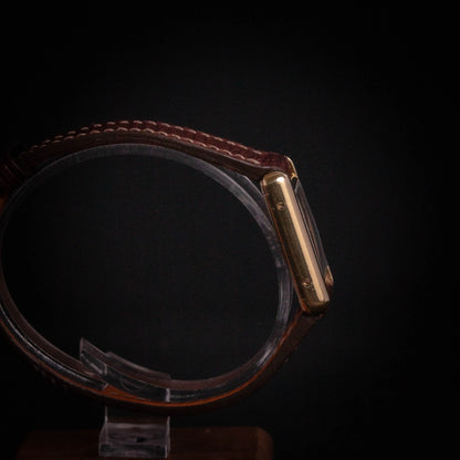 CARTIER Tank Must Brown Dial - DropAndWatch